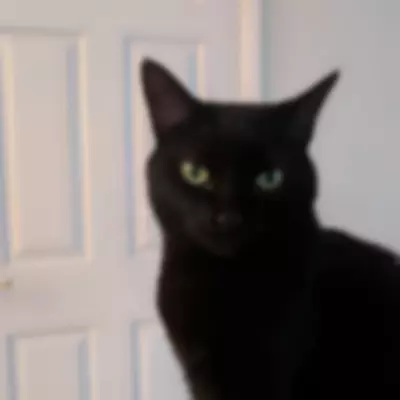400x400 WebP Image with Blur Effect